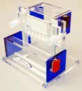 Mini Vertical Slab Gel Electrophoresis System